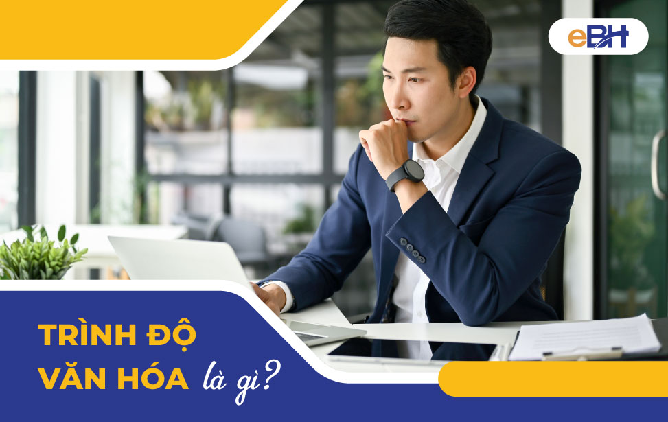 Trình độ văn hóa là gì Trình độ văn hóa là gì